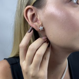 Brinco Estrela Zirconia